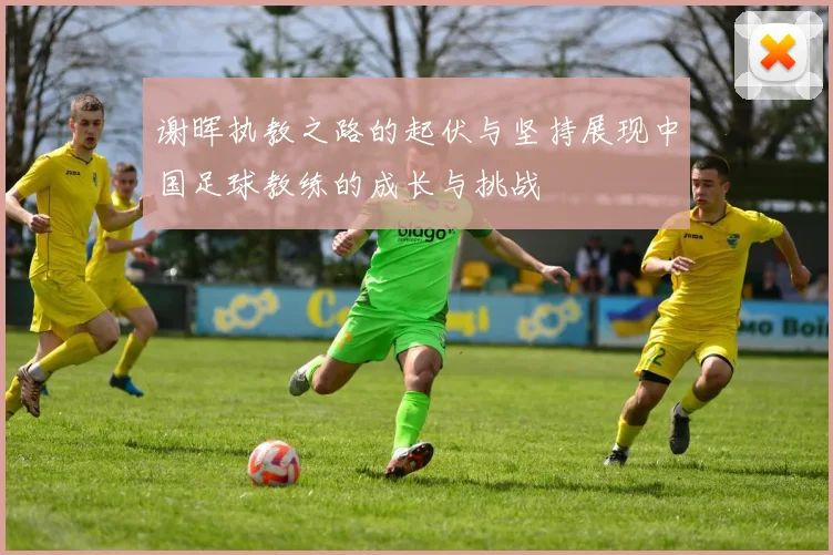 谢晖执教之路的起伏与坚持展现中国足球教练的成长与挑战