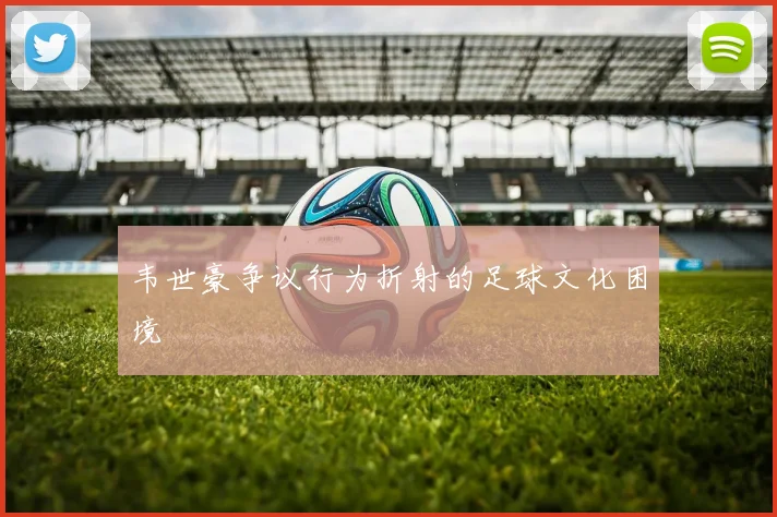 韦世豪争议行为折射的足球文化困境