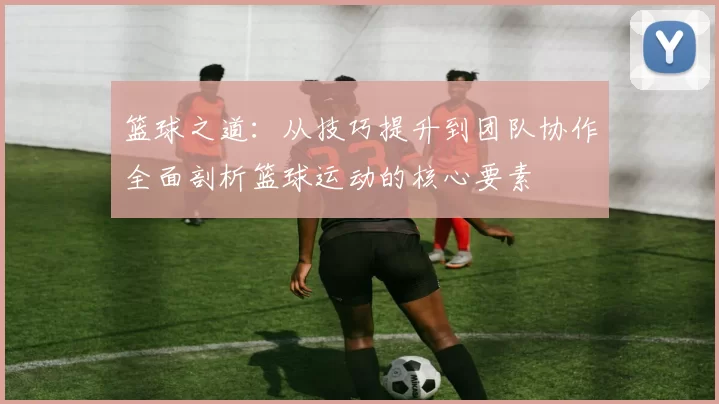 篮球之道：从技巧提升到团队协作全面剖析篮球运动的核心要素