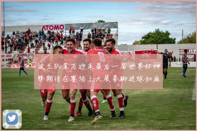 波兰队莱万迎来最后一届世界杯神锋期待在赛场上大展拳脚进球如麻