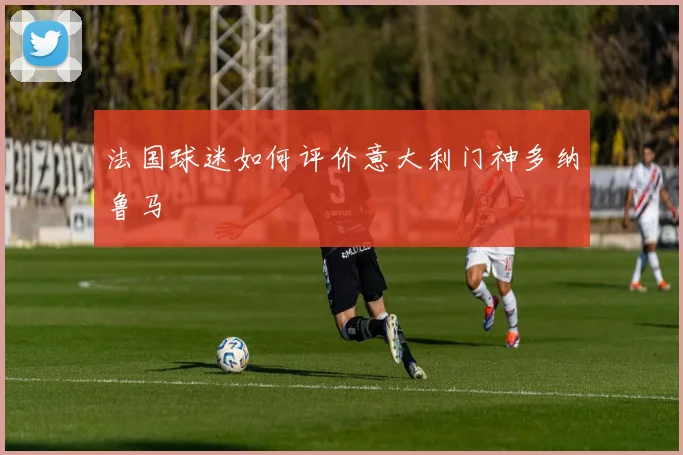 法国球迷如何评价意大利门神多纳鲁马