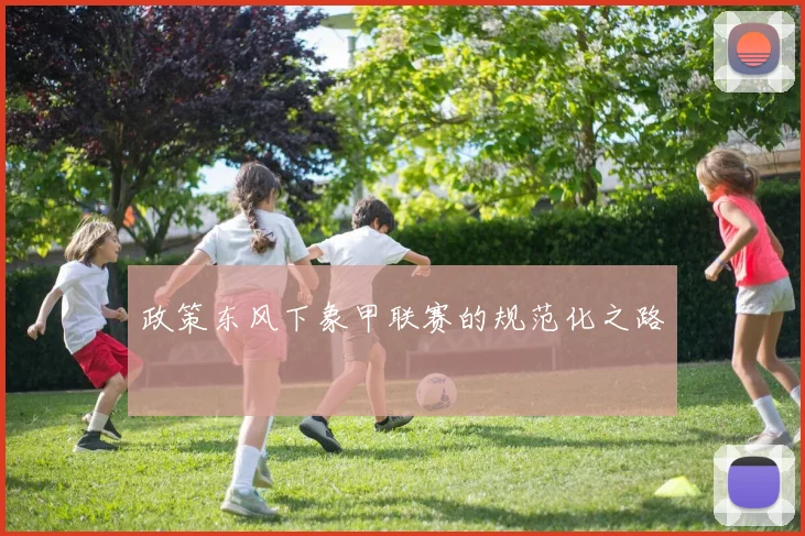 政策东风下象甲联赛的规范化之路