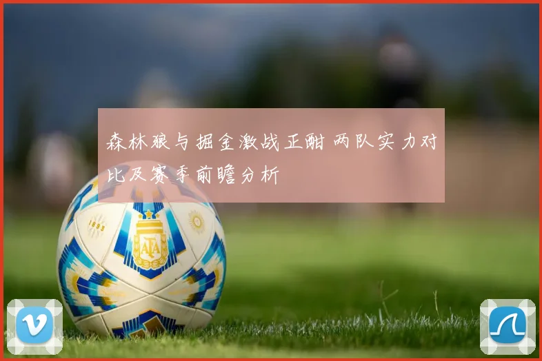森林狼与掘金激战正酣 两队实力对比及赛季前瞻分析