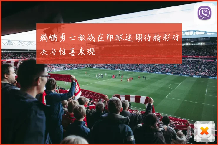 鹈鹕勇士激战在即球迷期待精彩对决与惊喜表现